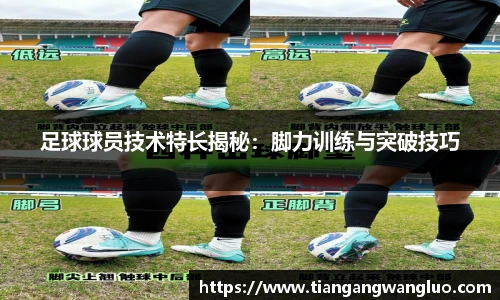 MK体育官方网站