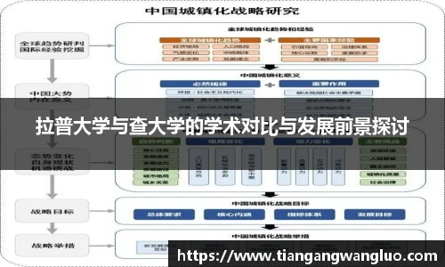 拉普大学与查大学的学术对比与发展前景探讨