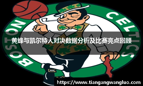 黄蜂与凯尔特人对决数据分析及比赛亮点回顾